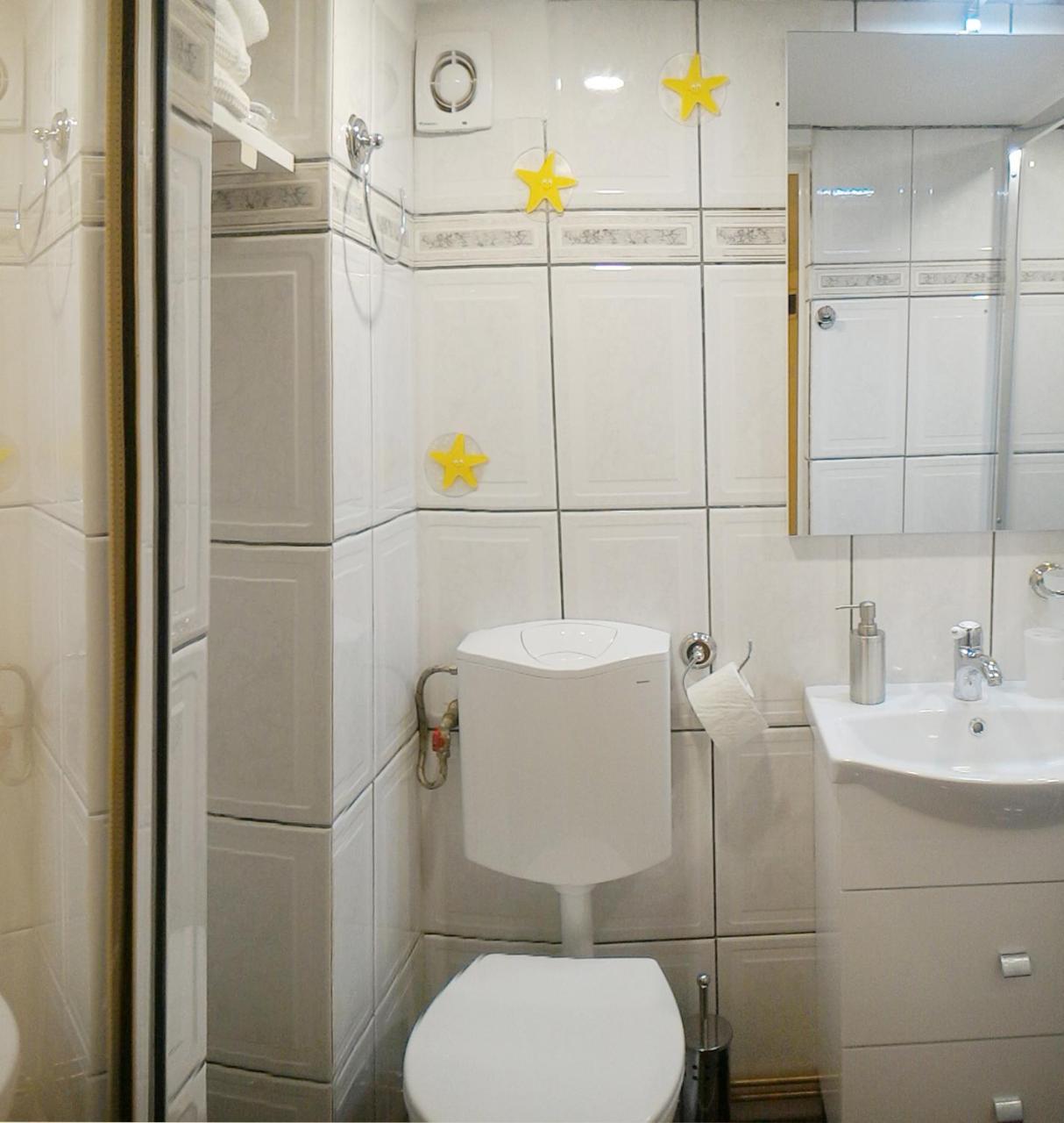 Republicii Rustic Apartament In Brasov City Center Exterior photo